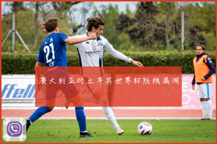 澳大利亚对土耳其世界杯防线漏洞
