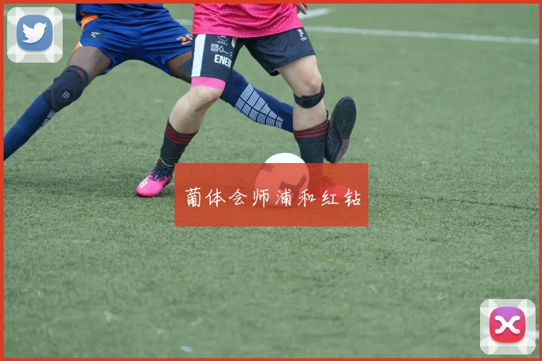葡体会师浦和红钻
