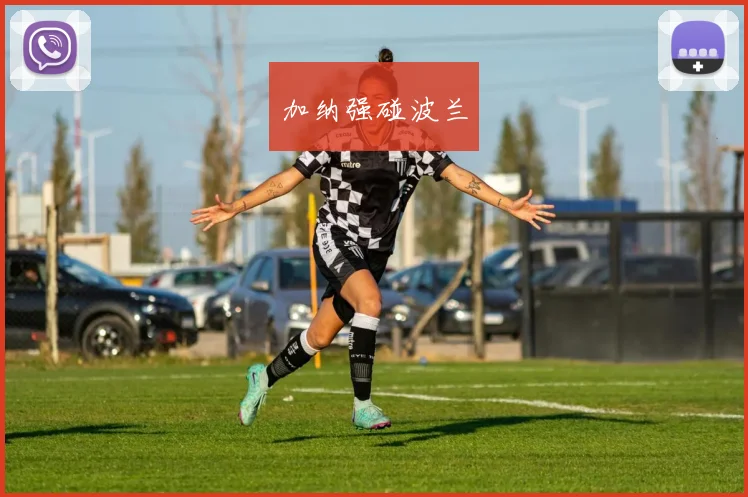 加纳强碰波兰