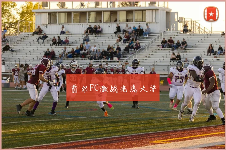 首尔FC激战老虎大学