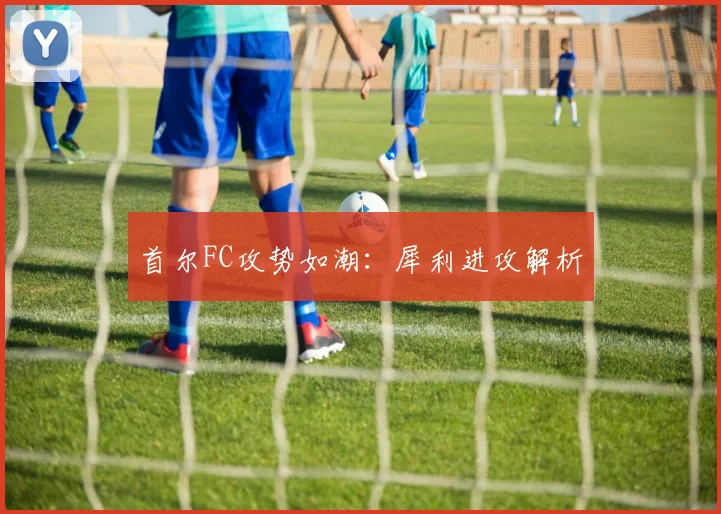 首尔FC攻势如潮：犀利进攻解析