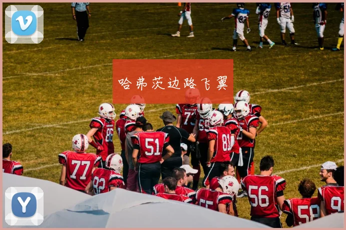 哈弗茨边路飞翼