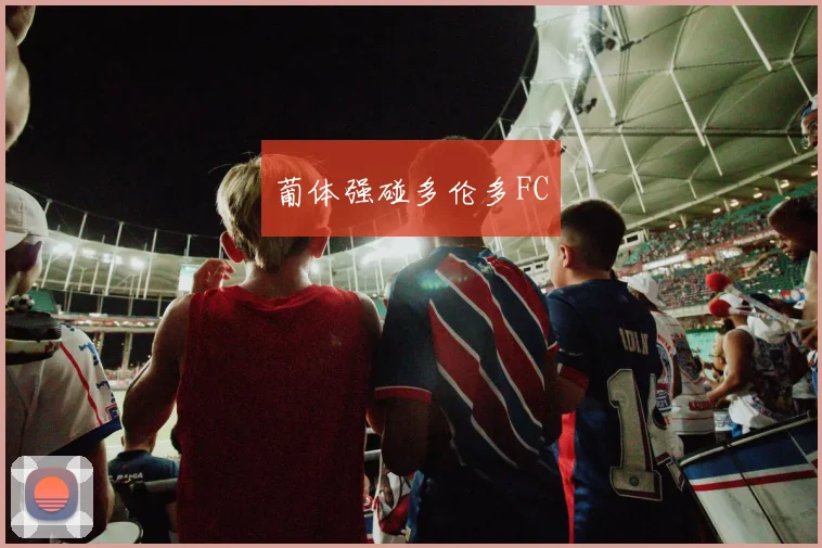 葡体强碰多伦多FC