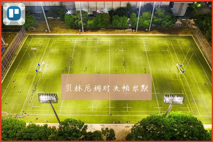 贝林厄姆对决帕尔默