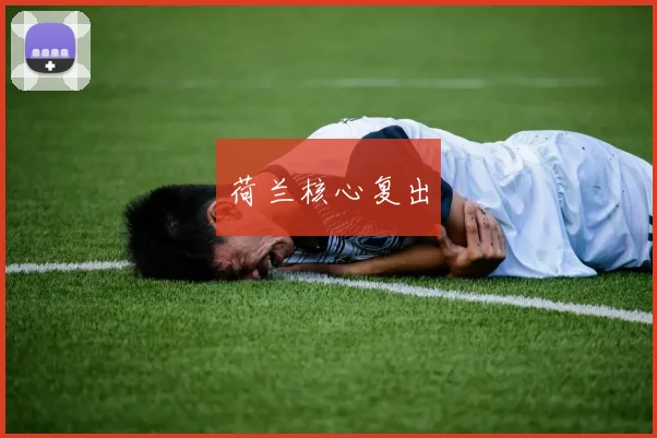 荷兰核心复出