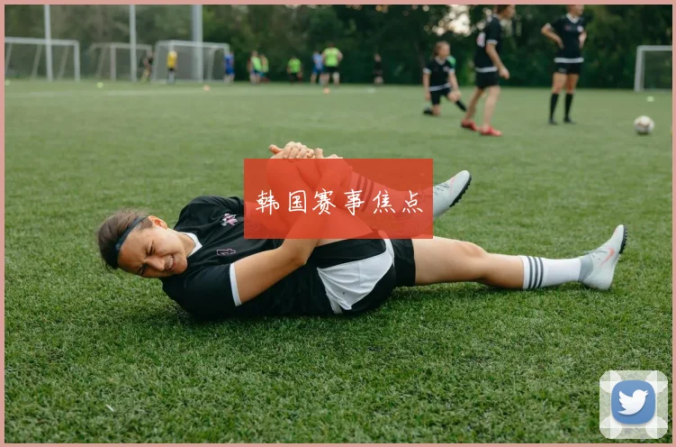 韩国赛事焦点