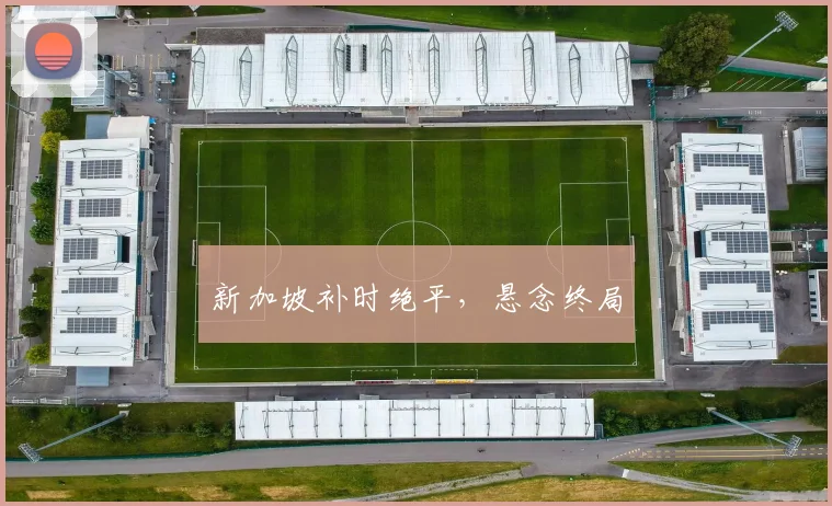 新加坡补时绝平，悬念终局