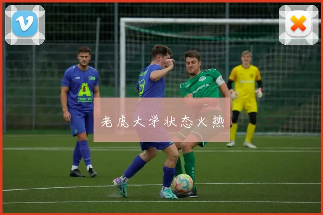 老虎大学状态火热