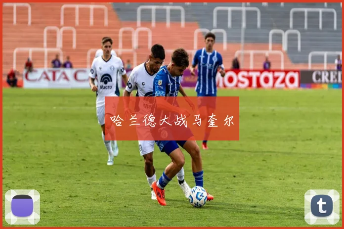 哈兰德大战马奎尔