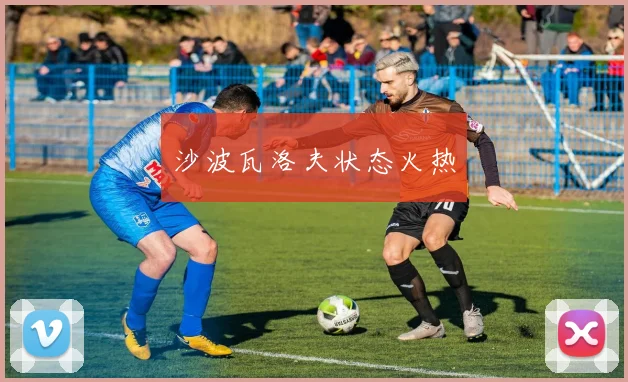 沙波瓦洛夫状态火热