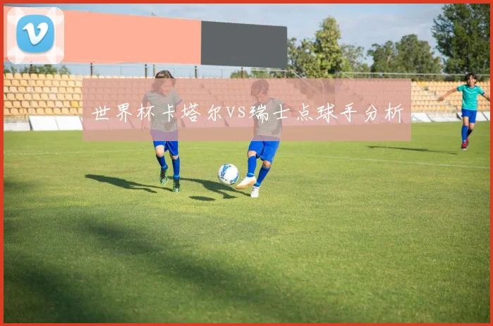 世界杯卡塔尔vs瑞士点球手分析