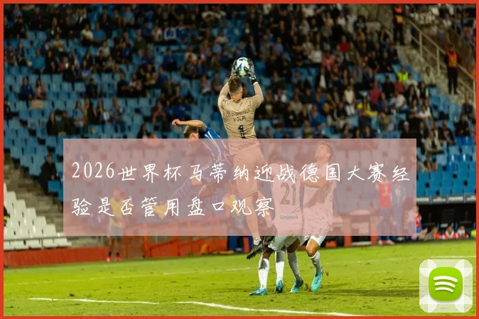 2026世界杯马蒂纳迎战德国大赛经验是否管用盘口观察
