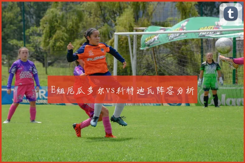E组厄瓜多尔vs科特迪瓦阵容分析